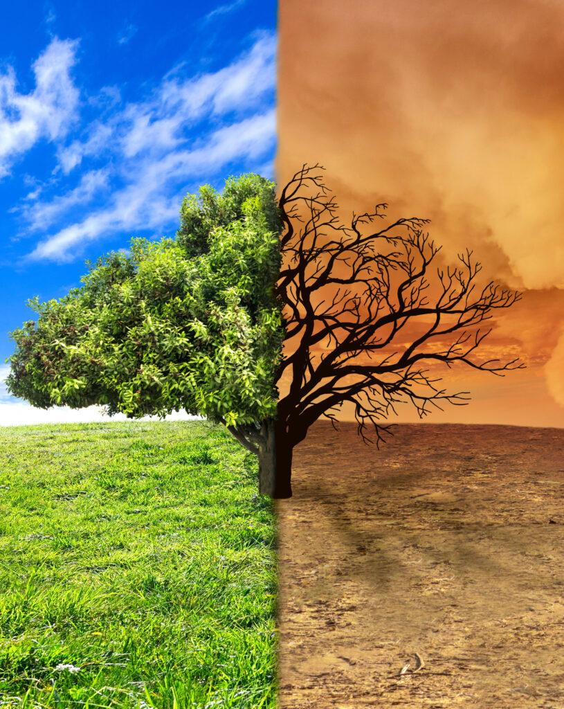 Klimaschutz kindgerecht vermitteln